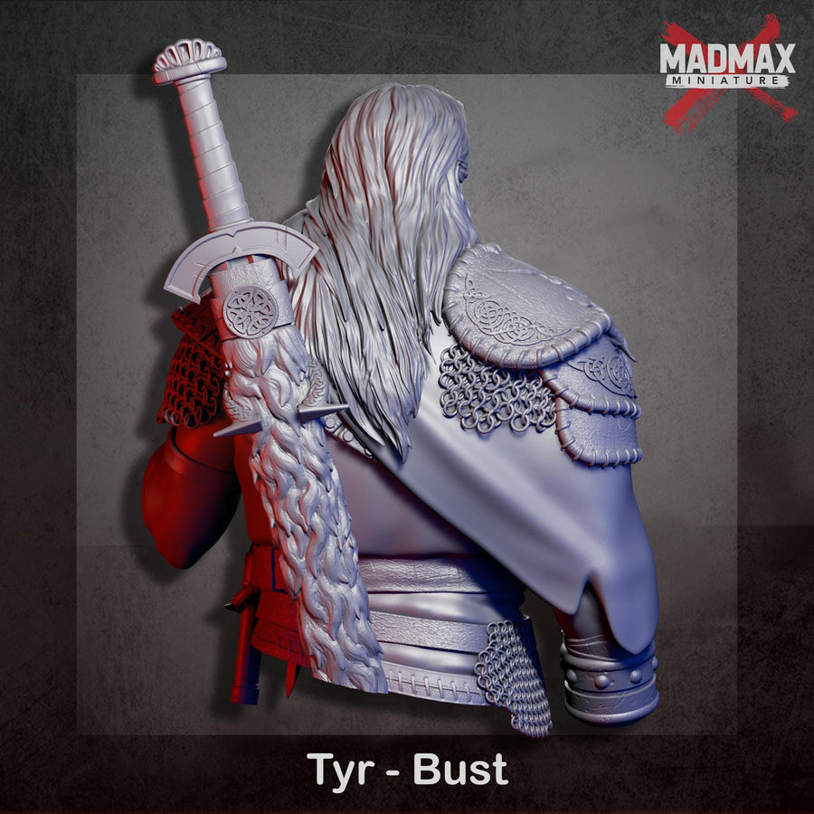 a detailed 3D model of a warrior figure, specifically named Tyr - Bust, who is depicted in a dynamic pose with a sword in hand. a detailed 3D model of a warrior figure, specifically named Tyr - Bust, who is depicted in a dynamic pose with a sword in hand.
