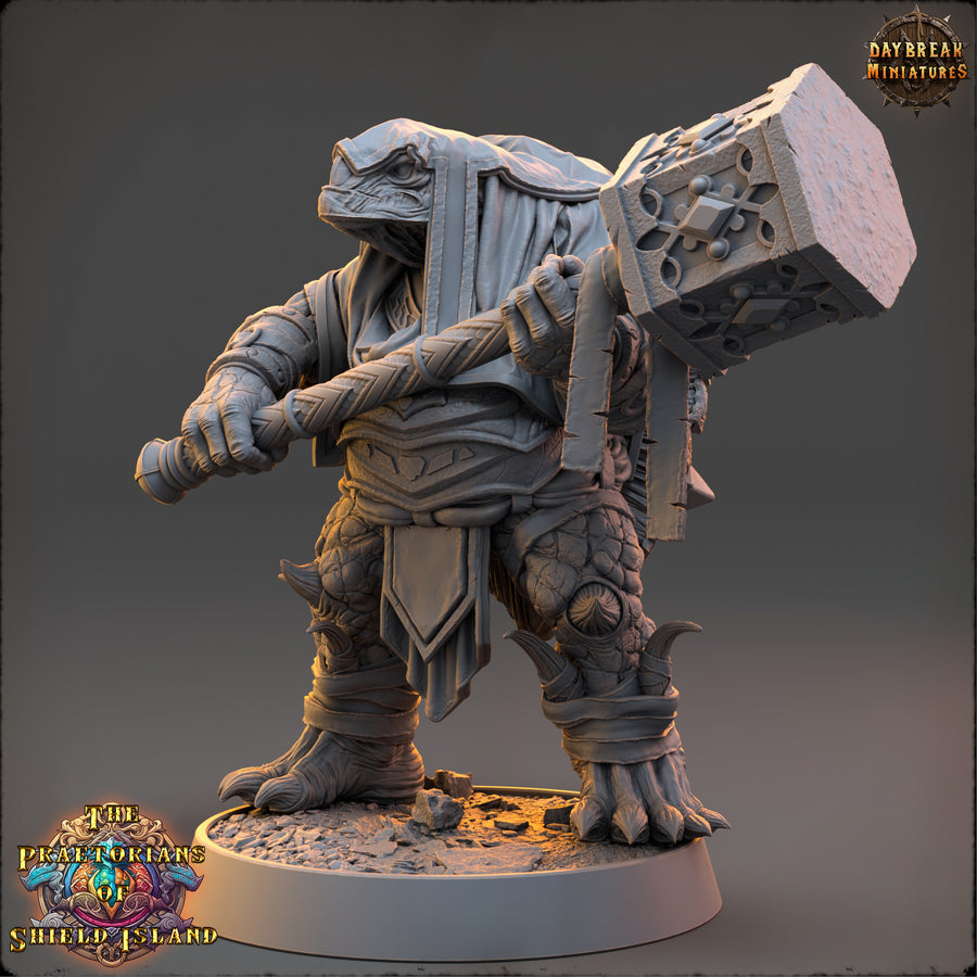Topo - Turtles - The Praetorians of Shield Island - Daybreak Miniatures Topo - Turtles - The Praetorians of Shield Island - Daybreak Miniatures