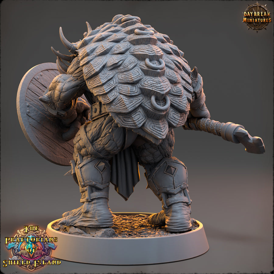 Wecto - Turtles - The Praetorians of Shield Island - Daybreak Miniatures Wecto - Turtles - The Praetorians of Shield Island - Daybreak Miniatures