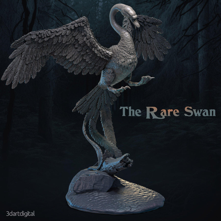Rare Swan - 3dartdigital Rare Swan - 3dartdigital