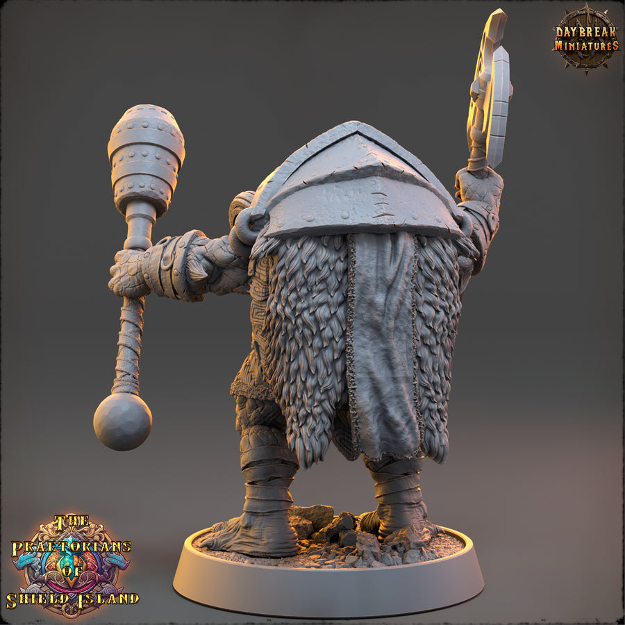 Bazo - Turtles - The Praetorians of Shield Island - Daybreak Miniatures Bazo - Turtles - The Praetorians of Shield Island - Daybreak Miniatures