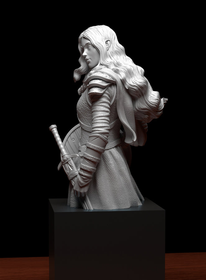 a statue of a woman holding a shield a statue of a woman holding a shield