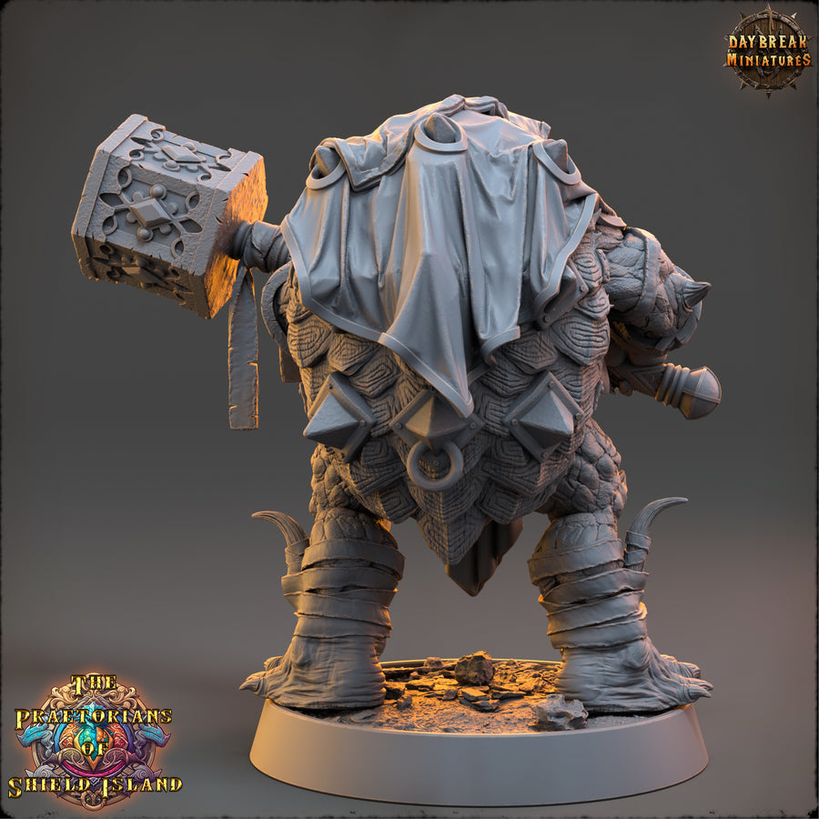 Topo - Turtles - The Praetorians of Shield Island - Daybreak Miniatures Topo - Turtles - The Praetorians of Shield Island - Daybreak Miniatures
