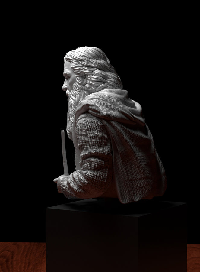 a white statue of a man with a beard a white statue of a man with a beard