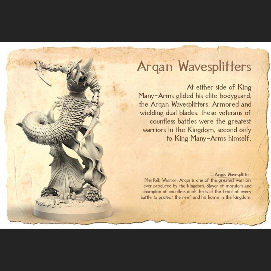 Arqus Wavesplitter *POSE OPTION* Arqus Wavesplitter *POSE OPTION*