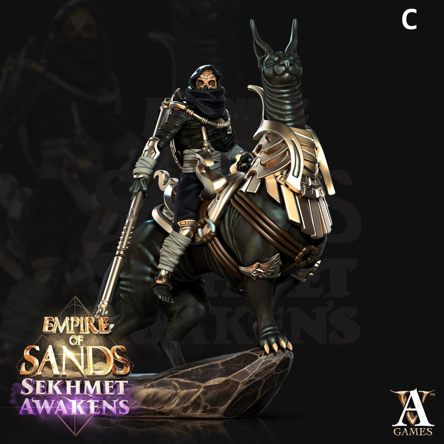 Salahari Riders *POSE OPTION* 50mm High Salahari Riders *POSE OPTION* 50mm High