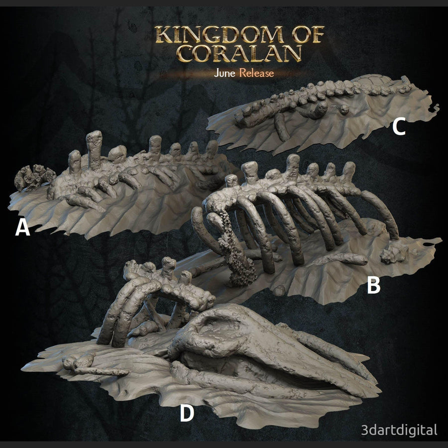 Kingdom of Coralan - TERRAIN & PROPS Kingdom of Coralan - TERRAIN & PROPS