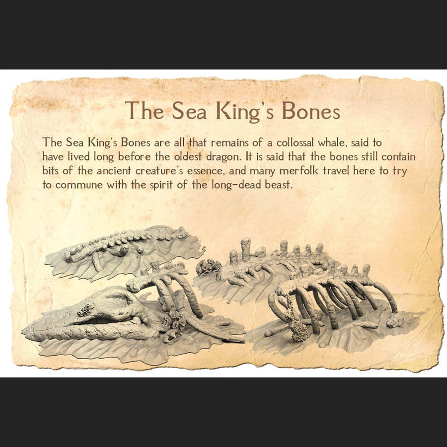 Kingdom of Coralan - TERRAIN & PROPS Kingdom of Coralan - TERRAIN & PROPS
