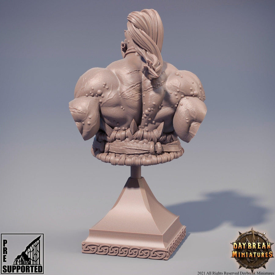 Hector Stumpfkant Bust *SIZE OPTION* Hector Stumpfkant Bust *SIZE OPTION*