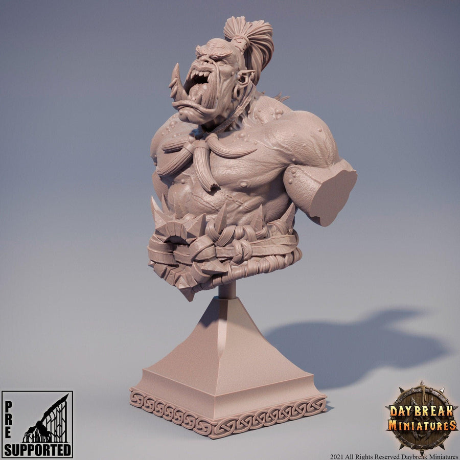 Hector Stumpfkant Bust *SIZE OPTION* Hector Stumpfkant Bust *SIZE OPTION*