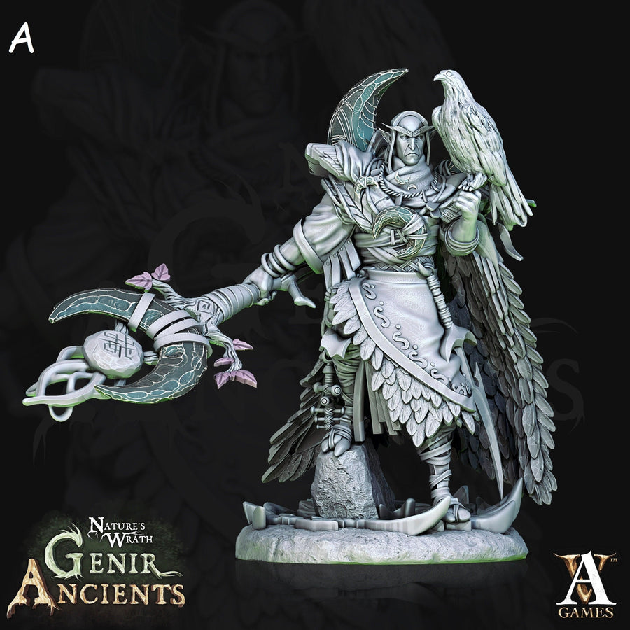 Grovebred Druids *Size Option* Nature's Wrath, Genir Ancients Grovebred Druids *Size Option* Nature's Wrath, Genir Ancients