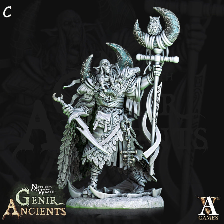 Grovebred Druids *Size Option* Nature's Wrath, Genir Ancients Grovebred Druids *Size Option* Nature's Wrath, Genir Ancients
