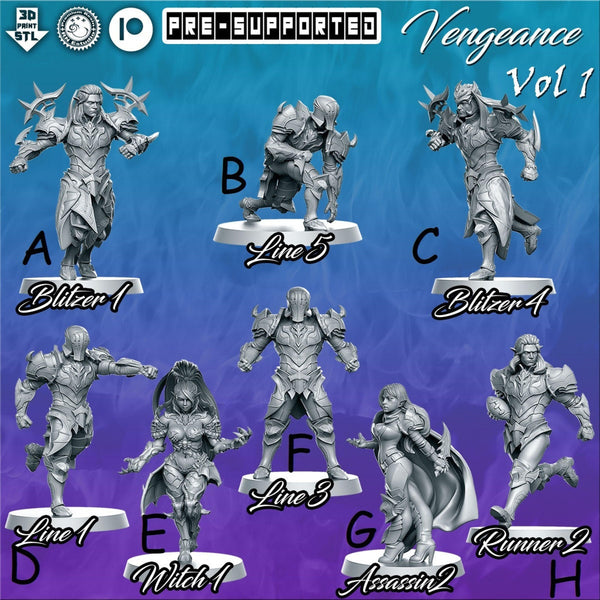 Vengeance Team Vol.1  - Fantasy Football Team  - RN Estudio - 32mm Miniatures - DnD - rpg - Mythbowl - Fantasy Football
