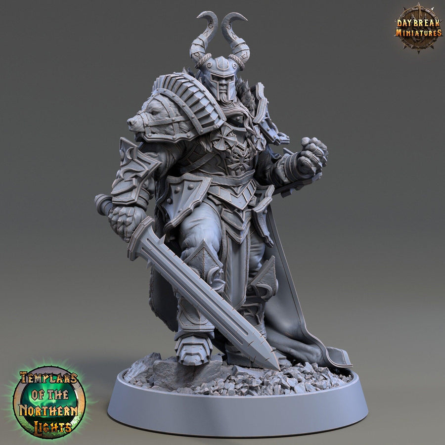 Templar Fighters 1 Templar Fighters 1