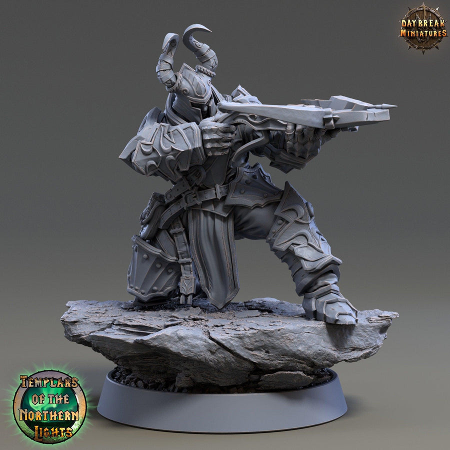 Templar Fighters 2 Templar Fighters 2