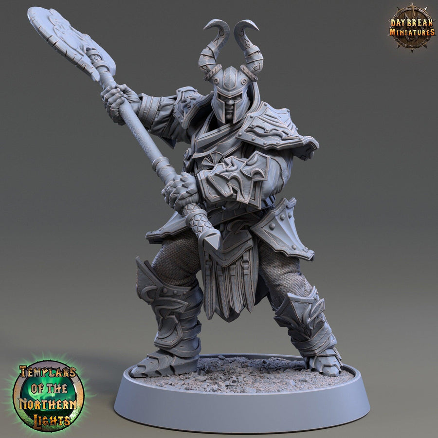 Templar Fighters 1 Templar Fighters 1