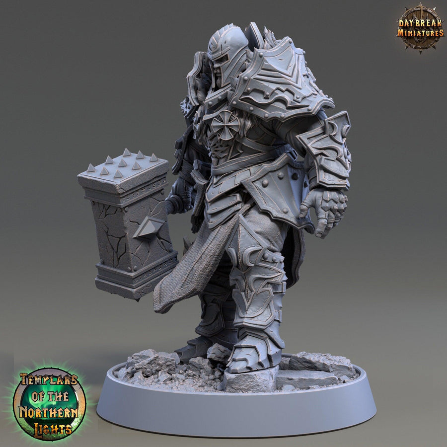 Templar Fighters 1 Templar Fighters 1