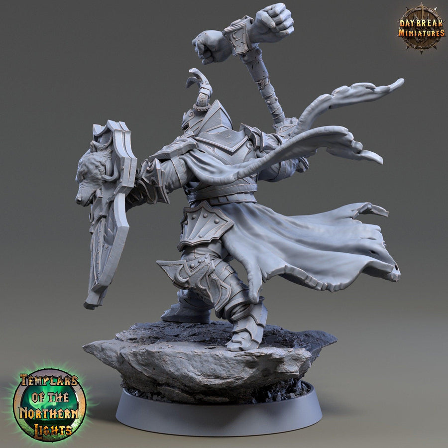 Templar Fighters 1 Templar Fighters 1