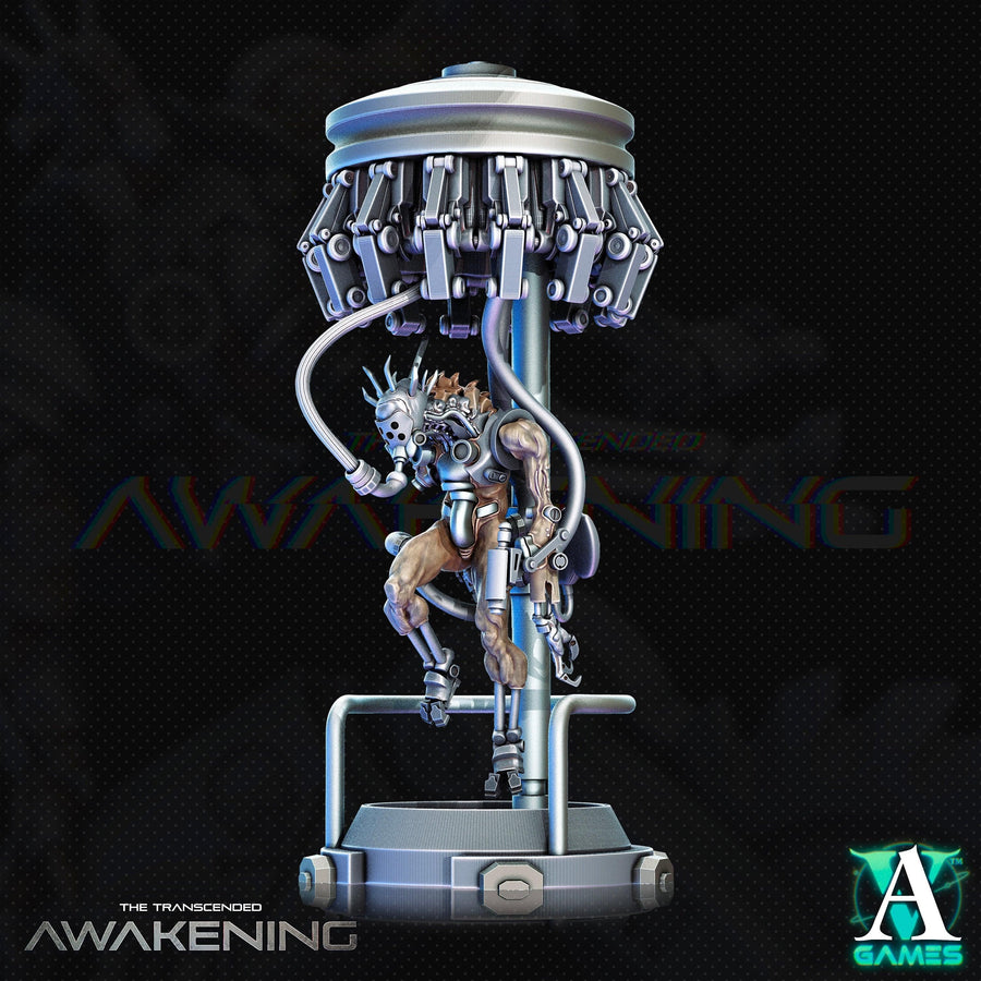 Trancended Lablumps - The Transcended - Awakening Trancended Lablumps - The Transcended - Awakening