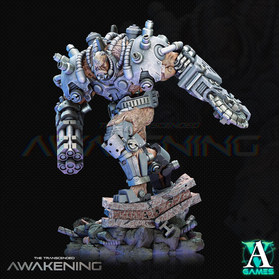 Trancended Fleshgrafts - The Transcended - Awakening Trancended Fleshgrafts - The Transcended - Awakening