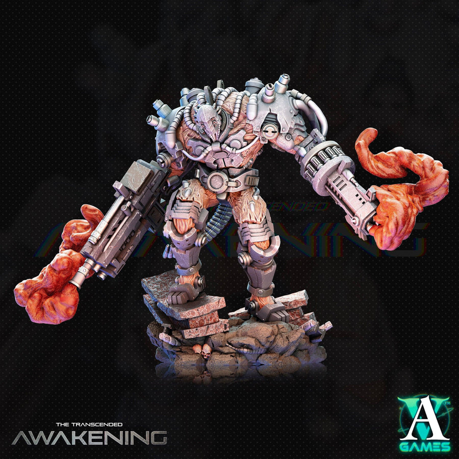 Trancended Fleshgrafts - The Transcended - Awakening Trancended Fleshgrafts - The Transcended - Awakening