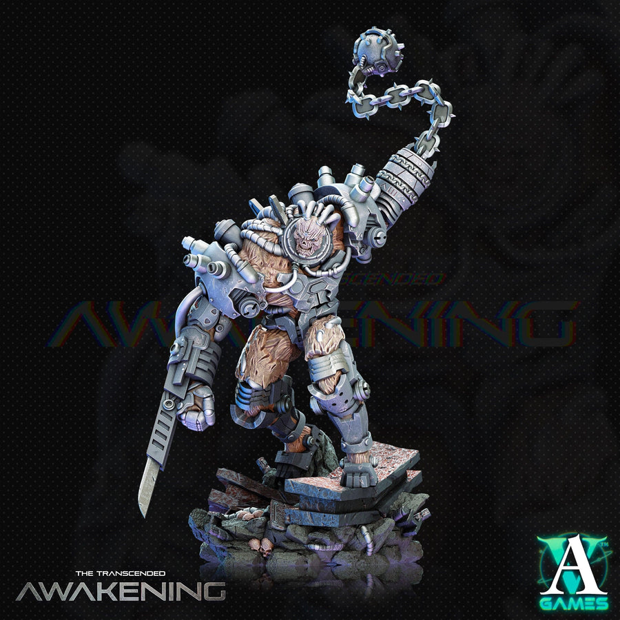 Trancended Fleshgrafts - The Transcended - Awakening Trancended Fleshgrafts - The Transcended - Awakening