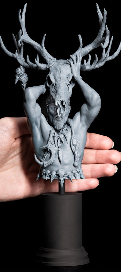Druid BUST - Printomancer Druid BUST - Printomancer