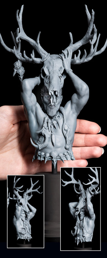Druid BUST - Printomancer Druid BUST - Printomancer