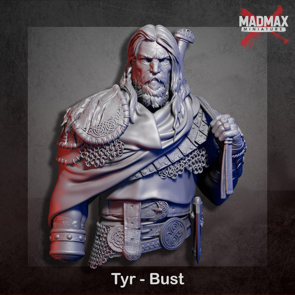 a detailed 3D model of a warrior figure, specifically named Tyr - Bust, who is depicted in a dynamic pose with a sword in hand.