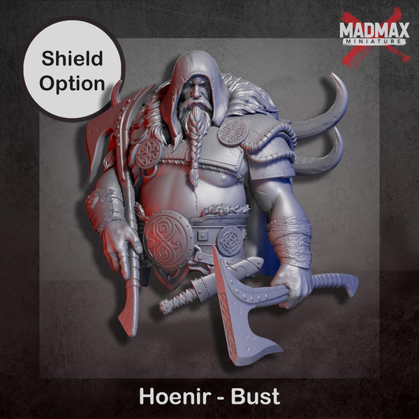 a detailed 3D rendering of a fantasy character, specifically a Viking warrior named Hoenir - Bust.