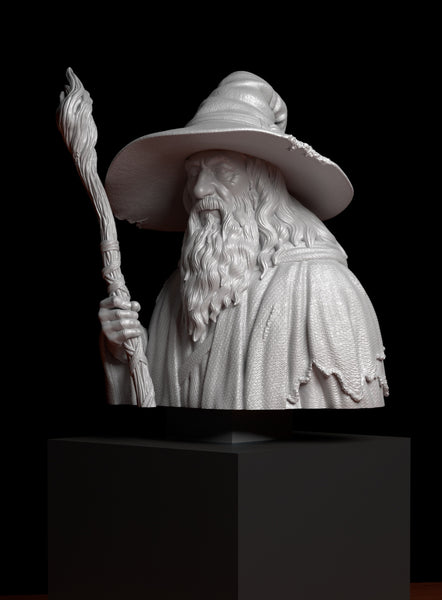 a statue of a wizard holding a staff