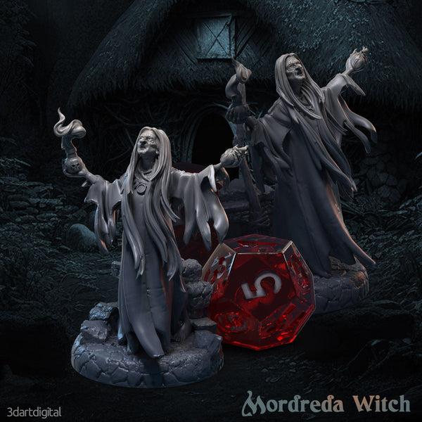 Mordreda The Old Witch - 3dartdigital