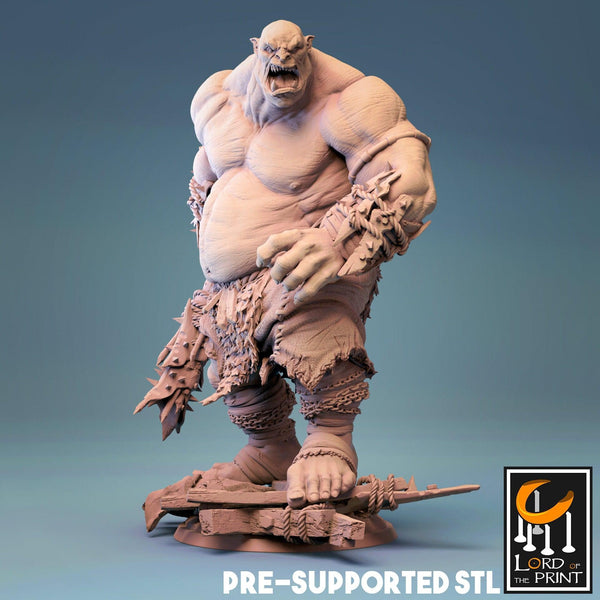 Ogre *SIZE OPTION*  Lord of the Print | Tabletop rpg Miniature dnd pathfinder