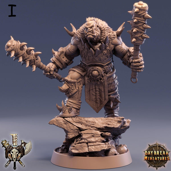 Orcs  The Powerbrokers of the Void  *POSE & SIZE OPTION*